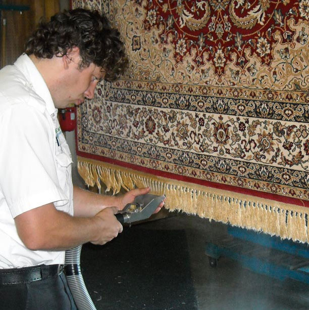 Area rug being cleaned by Green Earth employee.